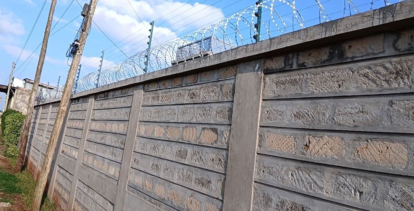 Electric Fence